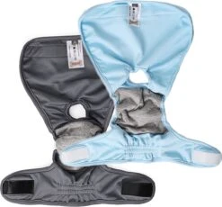 Loopsheidbroekje - Blauw - Maat M - Hondenbroekje - Loopsheid - Diverse Maten - Voor Grote En Kleine Honden -Huisdierbenodigdheden 1200x1116 15