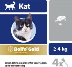 Bayer Bolfo Gold 80 Anti Vlooienmiddel - Kat - > 4 Kg - 4 Pipetten -Huisdierbenodigdheden 1200x1116 18