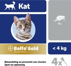 Bayer Bolfo Gold 40 Anti Vlooienmiddel - Kat - 0 Tot 4 Kg - 4 Pipetten -Huisdierbenodigdheden 1200x1116 20