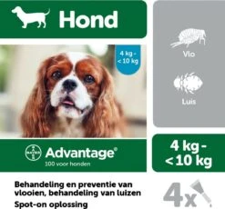Bayer Advantage 100 Hond 4-10 Kg - 4 Pipetten à 1,0 Ml -Huisdierbenodigdheden 1200x1117 5