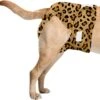 Sharon B Loopsheidbroekje Hond - Luipaard - Maat S - Wasbaar