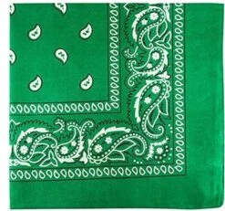 Merkloos Bandana - Groen - Unisex - Festival - Carnaval - Bandana Hond -Huisdierbenodigdheden 1200x1120 15