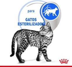 Royal Canin Feline Sterilised Indoor In Gravy -Huisdierbenodigdheden 1200x1120 17