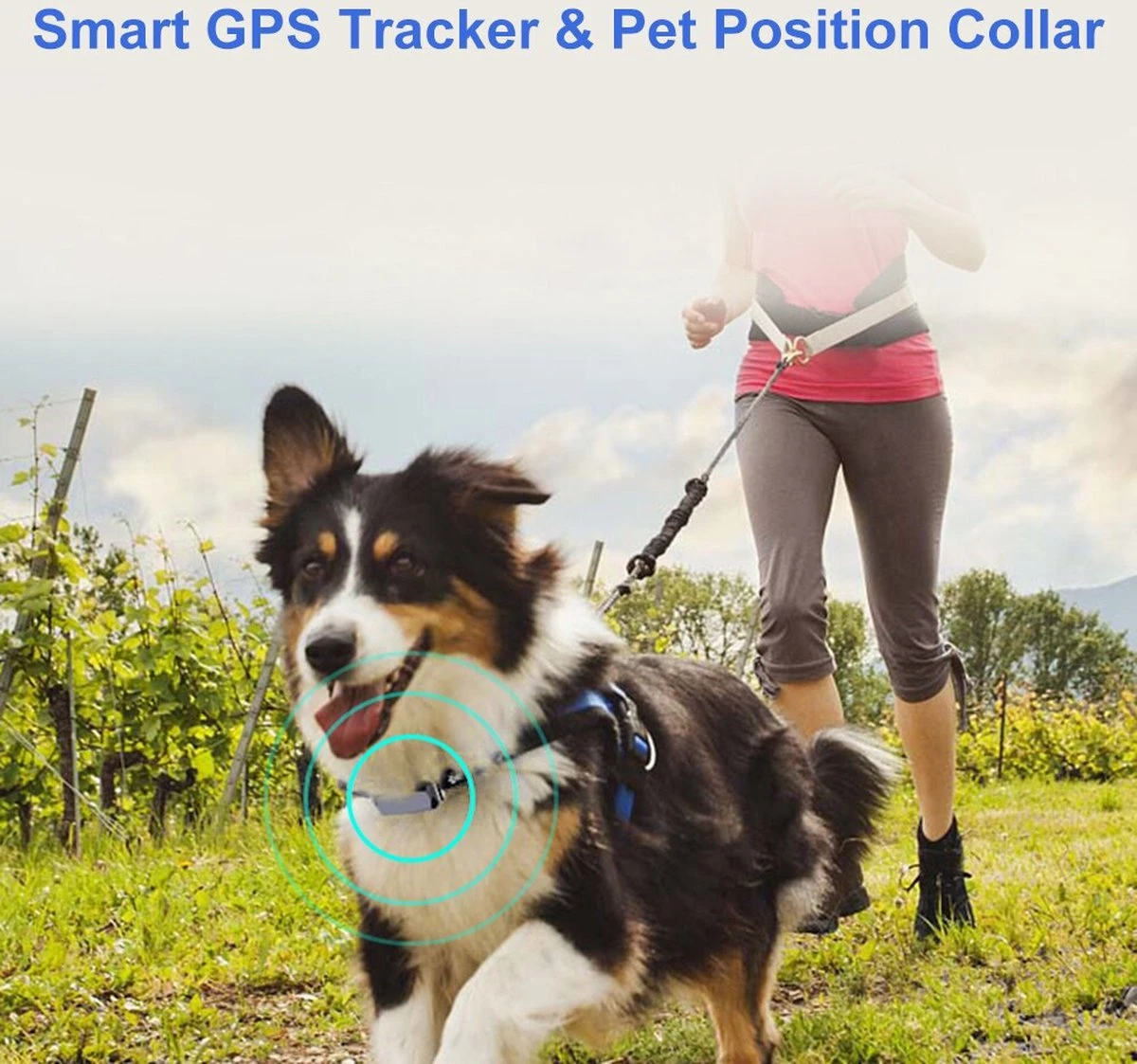 PuroTech - GPS Tracker Voor Hond En Kat - Halsband GPS - IP67 Waterdicht - Halsband Huisdier - Volgsysteem - Verbeterde Accuduur 5 PuroTech - GPS Tracker Voor Hond En Kat - Halsband GPS - IP67 Waterdicht - Halsband Huisdier - Volgsysteem - Verbeterde Accuduur - Afbeelding 5