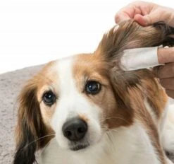 Trixie Vingerdoekjes Voor De Oorverzorging - Oorverzorgingsmiddel - 50 Stuks -Huisdierbenodigdheden 1200x1125 11