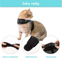 Kattentuigje Met Leiband Riem Kattenharnas Geel Maat L Kat & Kitten - Dieren Kattenriem - Cat Leash - Halsomvang 24 Tot 33cm - Borstomvang 36 Tot 41cm - Zootic® -Huisdierbenodigdheden 1200x1126 8