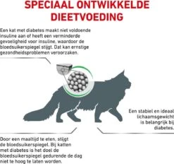 Royal Canin Diabetic - Kattenvoer - 3,5 Kg -Huisdierbenodigdheden 1200x1127 17