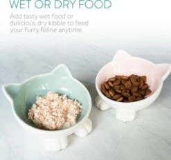 Navaris Voerbakjes Voor Katten - Set Van 2 Voer- En Waterbakken - Etensbak Van Keramiek - Met Antislip Voetjes - Kattenvorm - Roze/Groen -Huisdierbenodigdheden 1200x1128 13