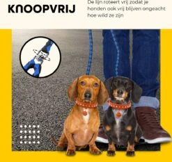 KCMultisupplies Dubbele Hondenriem Voor 2 Honden - Duo Hondenlijn Voor Hond - 120cm - Hondenleiband Riem -Huisdierbenodigdheden 1200x1130