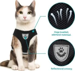 Merkloos Kattentuigje Met Looplijn | Zwart Kattenharnas | Easy Step In | Kattenriem | Kattenlijn | Kattentuig | Maat S -Huisdierbenodigdheden 1200x1131 18
