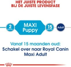 Royal Canin Maxi Junior - Hondenvoer - 10 Kg -Huisdierbenodigdheden 1200x1132 6