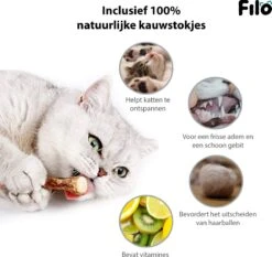 Filo Kattenspeelgoed Set 30 Stuks - Kattenspeeltje Kattentunnel - Kattenhengel - Kattenveertjes - Vis Met Kattenkruid - Kattenspeeltjes Intelligentie Kitten - Interactief Speelgoed Katten - Poezen Speeltjes -Huisdierbenodigdheden 1200x1133 8