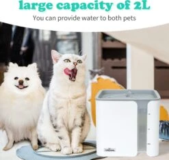 Nobleza USB Drinkfontein Voor Hond/Kat - 2L - Incl. 2 Filters - Wit 17 Nobleza USB Drinkfontein Voor Hond/Kat - 2L - Incl. 2 Filters - Wit -Huisdierbenodigdheden 1200x1136 25