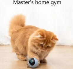 Otiume Interactieve Speelbal - Slimme Interactieve Jaag Speeltje Voor Katten - Kattenspeeltjes - Intelligente Jaagbal - AI -USB Oplaadbaar - LED - Blauw -Huisdierbenodigdheden 1200x1137 25
