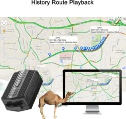 GPS Tracker Met Kraag Voor Jachthonden Koe Schapen 3000mAh IP66 Waterdichte Boerderij Huisdier Tracker Grote Dierenhalsband Met Gratis APP Geen Abonnement -Huisdierbenodigdheden 1200x1138 8