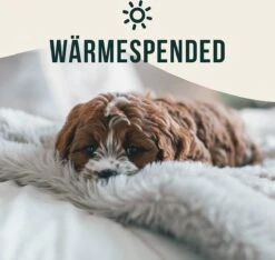 Happilax Fluffy Hondendeken Voor Auto & Bank, Wasbare Hondenmat Voor Op Reis, Grijs, L -Huisdierbenodigdheden 1200x1139 16