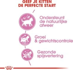 Royal Canin Kitten Sterilised - Kattenvoer - 3,5 Kg -Huisdierbenodigdheden 1200x1141 18