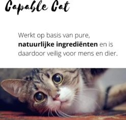 Capable Cat Vlooienband Kat | Vlooien | Luizen | Teken | Mijten | 8 Maanden Bescherming | Katten 11 Capable Cat Vlooienband Kat | Vlooien | Luizen | Teken | Mijten | 8 Maanden Bescherming | Katten -Huisdierbenodigdheden 1200x1142 19