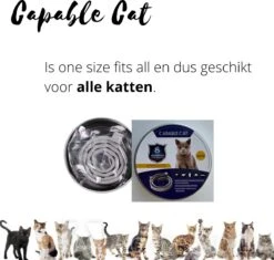 Capable Cat Vlooienband Kat | Vlooien | Luizen | Teken | Mijten | 8 Maanden Bescherming | Katten 13 Capable Cat Vlooienband Kat | Vlooien | Luizen | Teken | Mijten | 8 Maanden Bescherming | Katten -Huisdierbenodigdheden 1200x1142 20