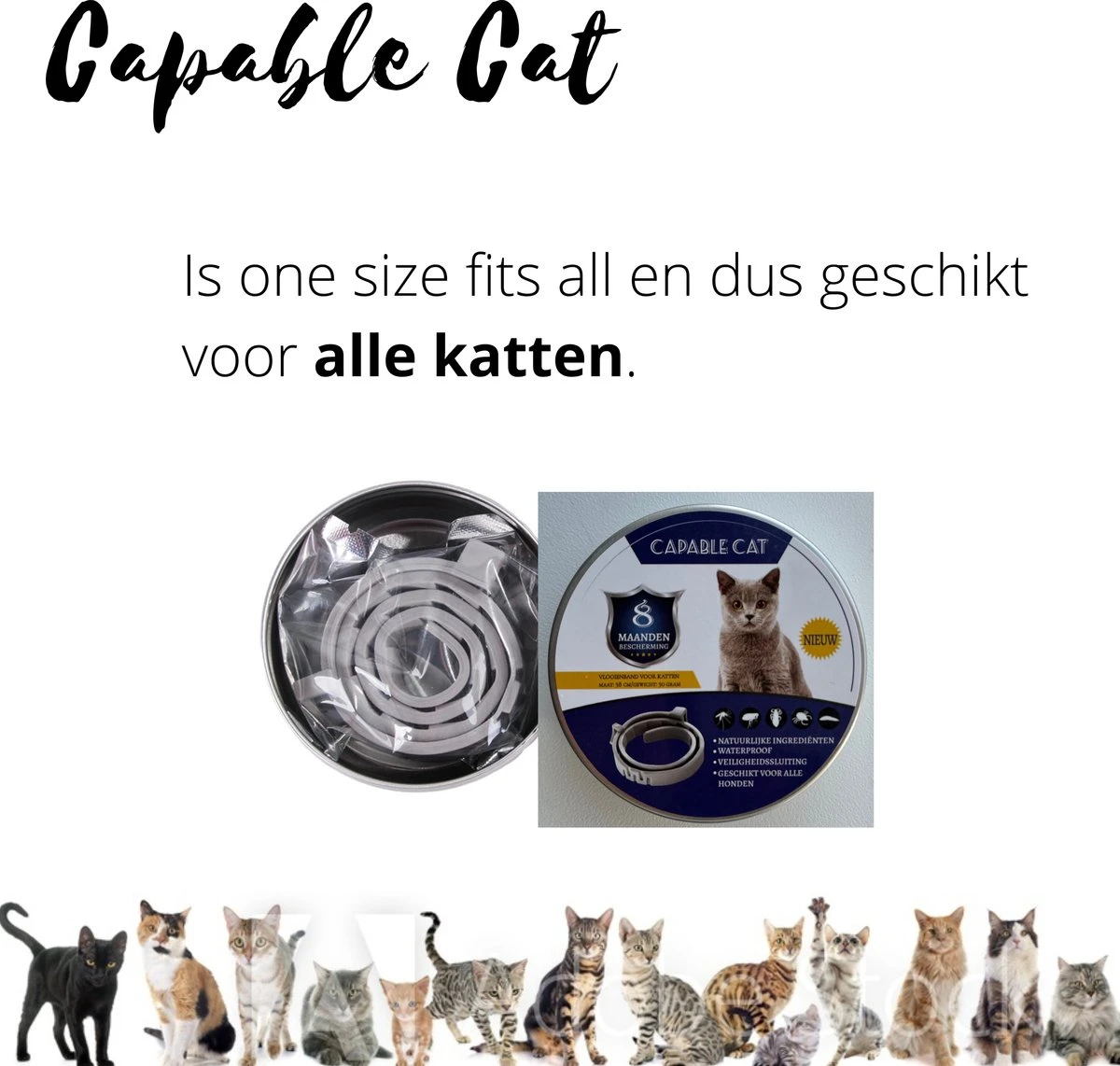 Capable Cat Vlooienband Kat | Vlooien | Luizen | Teken | Mijten | 8 Maanden Bescherming | Katten 7 Capable Cat Vlooienband Kat | Vlooien | Luizen | Teken | Mijten | 8 Maanden Bescherming | Katten - Afbeelding 7
