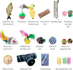 Filo Kattenspeelgoed Set 30 Stuks - Kattenspeeltje Kattentunnel - Kattenhengel - Kattenveertjes - Vis Met Kattenkruid - Kattenspeeltjes Intelligentie Kitten - Interactief Speelgoed Katten - Poezen Speeltjes -Huisdierbenodigdheden 1200x1145 27