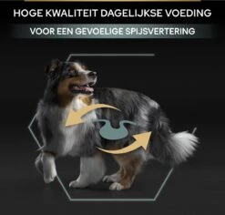 Pro Plan Medium Adult Sensitive Digestion - Honden Droogvoer - Lam - 14 Kg -Huisdierbenodigdheden 1200x1146 2