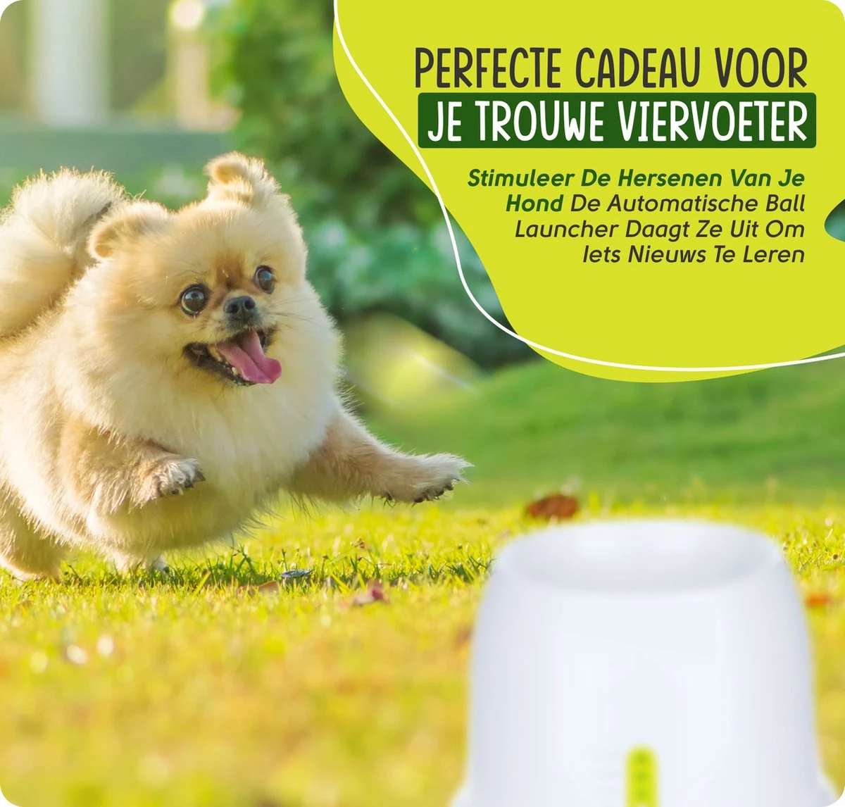 VEDIC® - Automatische Ballenwerper - Hondenspeelgoed - Ballenschieter Voor Honden 4 VEDIC® - Automatische Ballenwerper - Hondenspeelgoed - Ballenschieter Voor Honden - Afbeelding 4