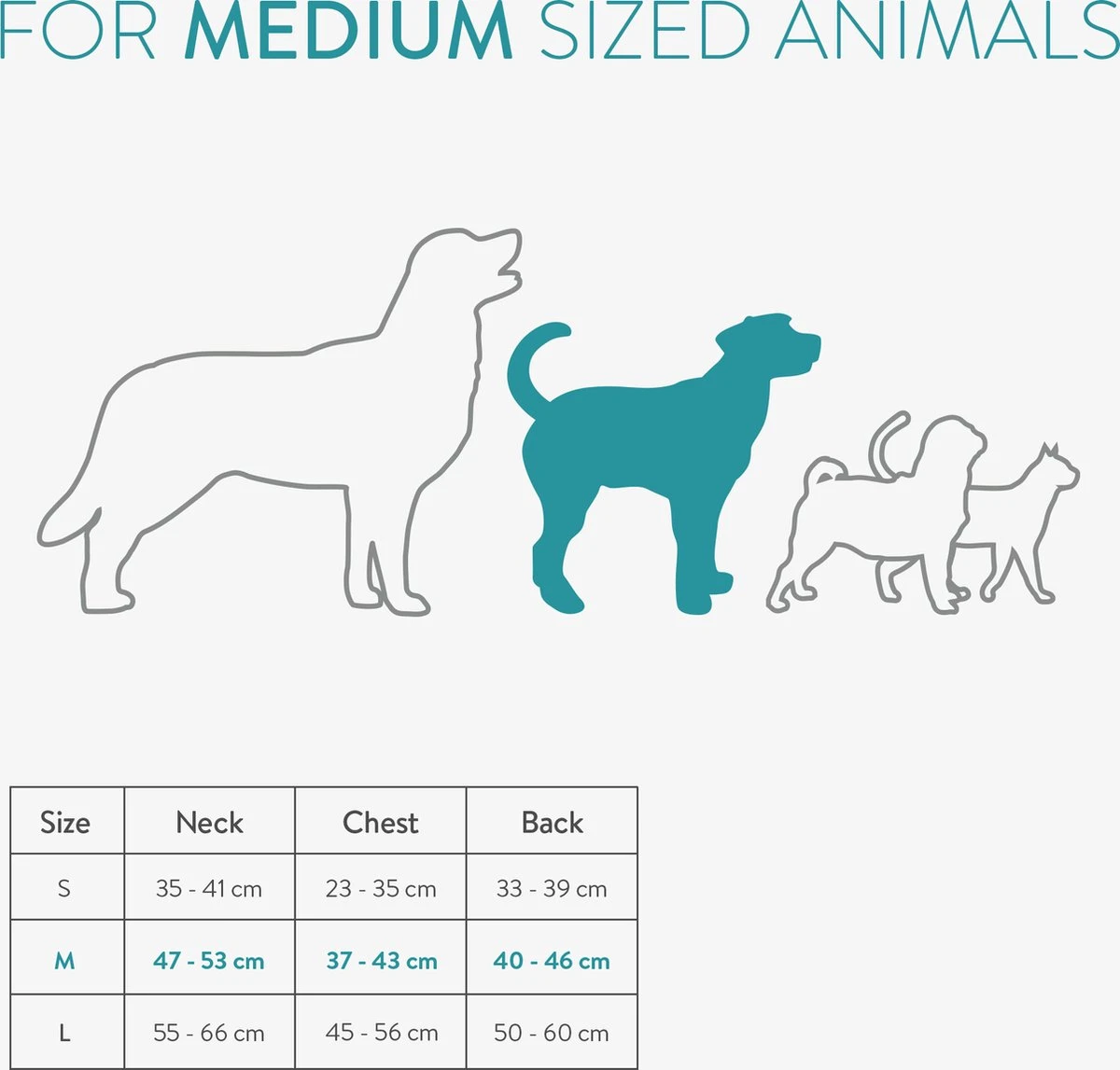 Navaris Hondenbadjas Van Zachte Badstof - Hondendroogjas Met Klittenband - Absorberende Hondenhanddoek Microvezel - Sneldrogende Hondenjas - Maat M 7 Navaris Hondenbadjas Van Zachte Badstof - Hondendroogjas Met Klittenband - Absorberende Hondenhanddoek Microvezel - Sneldrogende Hondenjas - Maat M - Afbeelding 7