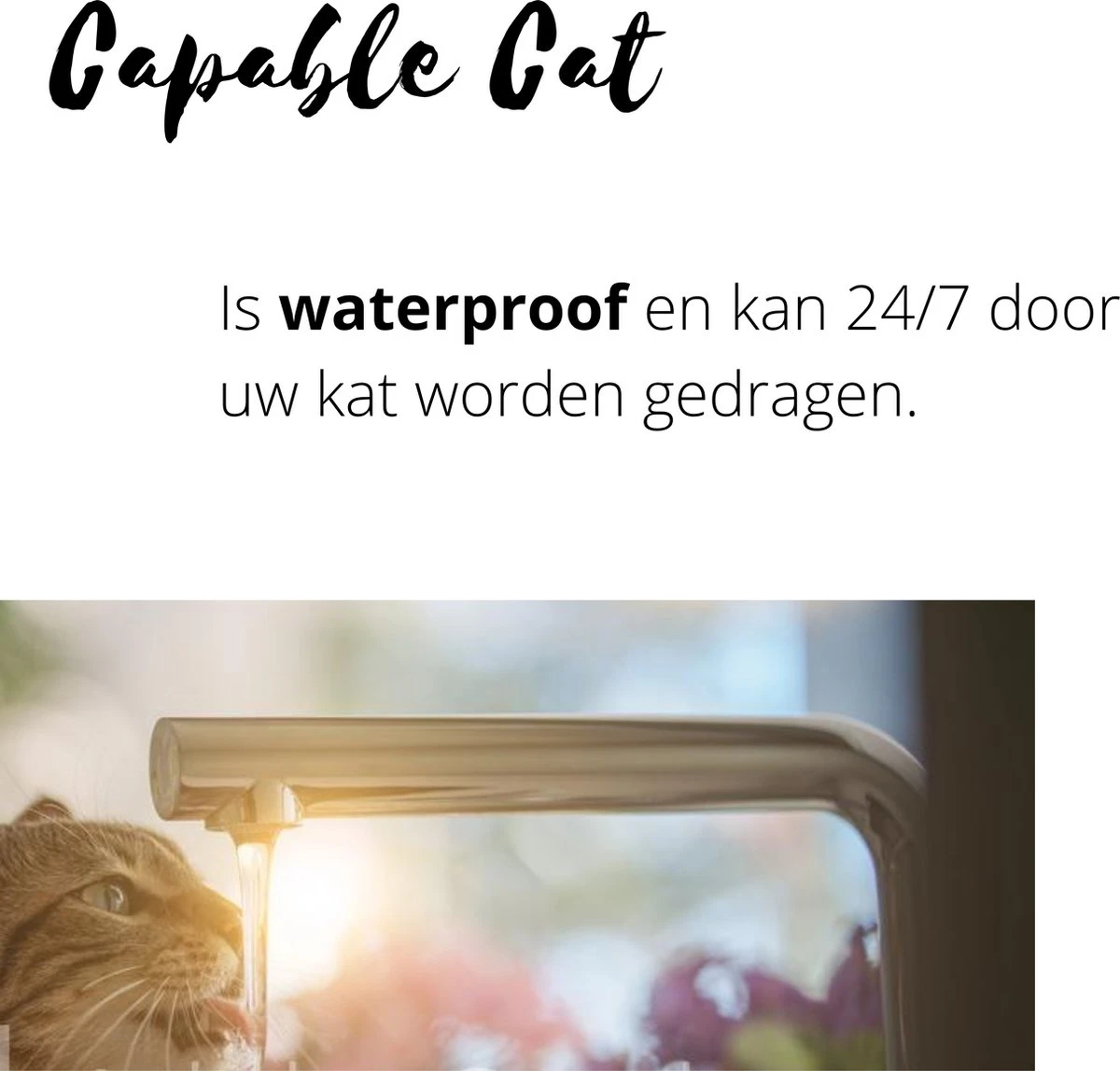 Capable Cat Vlooienband Kat | Vlooien | Luizen | Teken | Mijten | 8 Maanden Bescherming | Katten 3 Capable Cat Vlooienband Kat | Vlooien | Luizen | Teken | Mijten | 8 Maanden Bescherming | Katten - Afbeelding 3