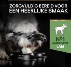 Pro Plan Medium Adult Sensitive Digestion - Honden Droogvoer - Lam - 14 Kg -Huisdierbenodigdheden 1200x1147