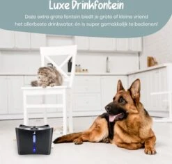 Loyalpetclub® XL Drinkfontein Kat – Drinkbak Hond & Kat - Waterfontein Kat – Waterdispenser 3L - Kattenfontein Met Waterfilter - Inclusief Mat -Huisdierbenodigdheden 1200x1148 13