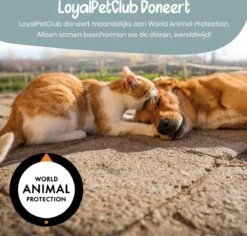 Loyalpetclub® XL Drinkfontein Kat – Drinkbak Hond & Kat - Waterfontein Kat – Waterdispenser 3L - Kattenfontein Met Waterfilter - Inclusief Mat -Huisdierbenodigdheden 1200x1148 14