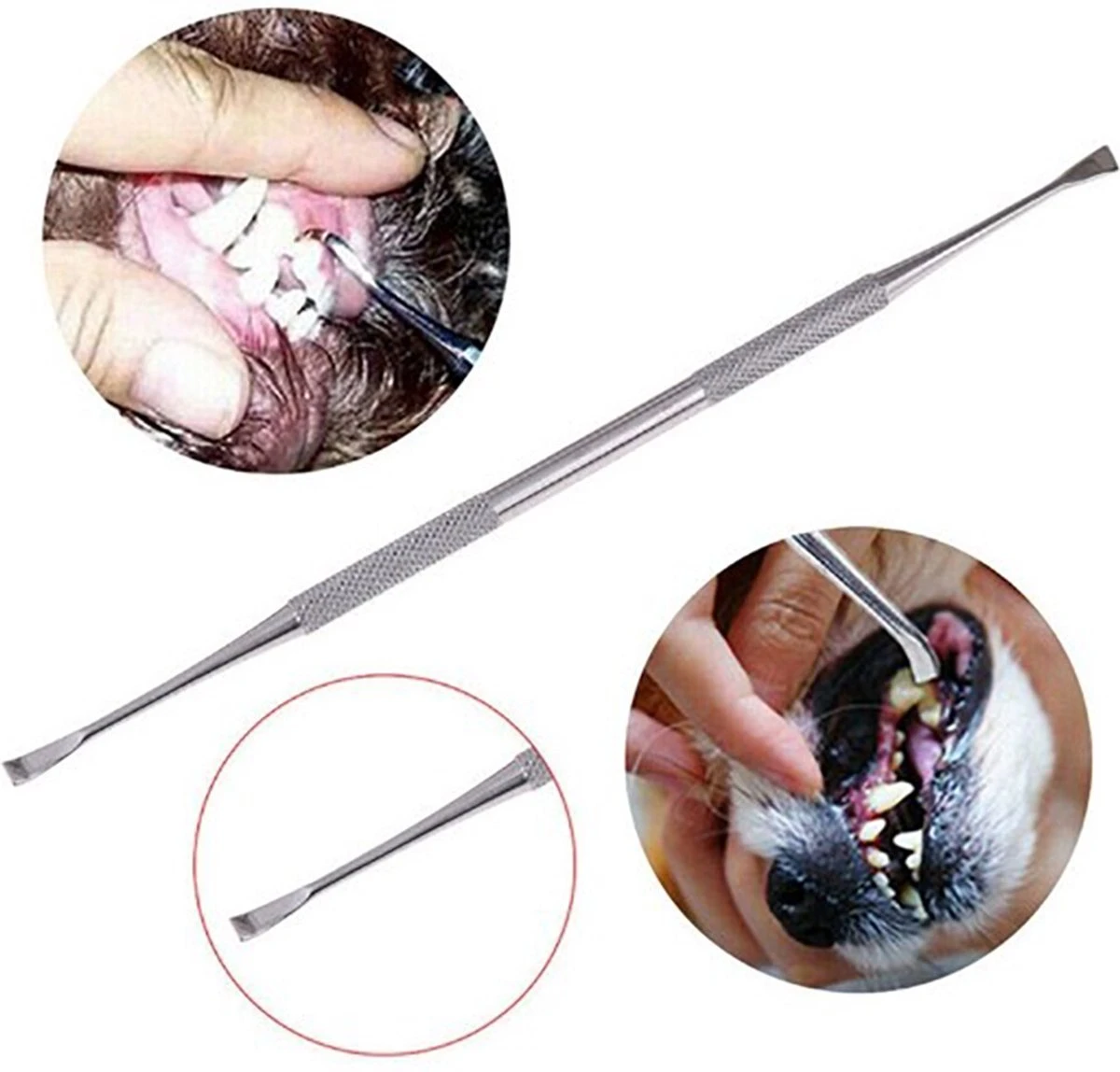 Pro3000 Ultra Q Tandsteen Verwijderaar Hond - Set Van 2 - Tandplak 2 Pro3000 Ultra Q Tandsteen Verwijderaar Hond - Set Van 2 - Tandplak - Afbeelding 2