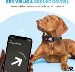 Vulpes Pets® Hondenhalsband Geschikt Voor Apple AirTag - Apple Airtag Halsband Voor Honden Pro - Veilig, Lichtgewicht, Reflecterend & Comfortabel - Anti-kras En Waterbestendig - Incl. 2 Accessoires - 36-44 CM - M -Huisdierbenodigdheden 1200x1150 22