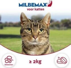 Milbemax Kat Groot - 1 ST à 2 X 2 TABL -Huisdierbenodigdheden 1200x1152 12