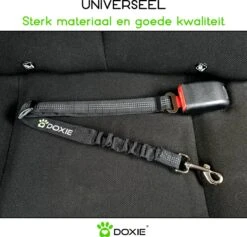 Doxie® Autogordel Hond – Honden Autogordel – Reflecterend – Schokabsorberend – Verstelbaar Van 60 Tot 80 Cm – Zwart -Huisdierbenodigdheden 1200x1153 17