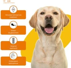 K9 Laboratories - 3 Delig Voordeel Pakket - Gewricht & Heup - 180 Stuks - Voor Honden - Met Artrose - Moeite Met Opstaan - Mankheid - HD - ED - Gewrichtsklachten - Bevat Glucosamine - MSM - Chondorïtine - Groenlipmossel -Huisdierbenodigdheden 1200x1153 29