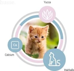 Husse Kattunge Kitten - 2 Kg - Kittenvoer - Kattenvoer - Kittenbrokjes 11 Husse Kattunge Kitten - 2 Kg - Kittenvoer - Kattenvoer - Kittenbrokjes -Huisdierbenodigdheden 1200x1153 33