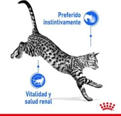Royal Canin Feline Sterilised Indoor In Gravy -Huisdierbenodigdheden 1200x1153 34