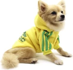 Adidog Hoodie - Hondentrui Maat XXL - Roze - Hondenkleding - Gewicht Hond 5 Tot 7 KG -Huisdierbenodigdheden 1200x1154 13