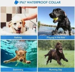 Anti Blafband EN Trainingshalsband In 1 - UNIEK SYSTEEM - 1000m Bereik - 100 Levels 21 Anti Blafband EN Trainingshalsband In 1 - UNIEK SYSTEEM - 1000m Bereik - 100 Levels -Huisdierbenodigdheden 1200x1154 2