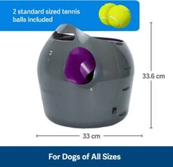 PetSafe Automatische Ballenwerper - Dierenspeelgoed -Huisdierbenodigdheden 1200x1154