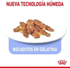 Royal Canin Feline Sterilised Indoor In Gravy -Huisdierbenodigdheden 1200x1155 24