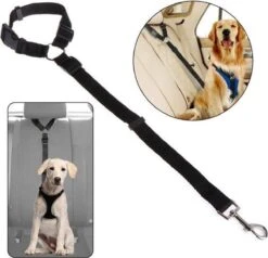 Merkloos Autogordel Voor Hond - Hondengordel Voor In De Auto – Verstelbare Hondengordel - Veiligheid Voor Hond – Hondenriem - Zwart
