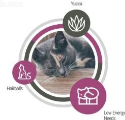 Husse Exclusive Katt Sterilised - Kattenvoer -7 Kg 11 Husse Exclusive Katt Sterilised - Kattenvoer -7 Kg -Huisdierbenodigdheden 1200x1158 19