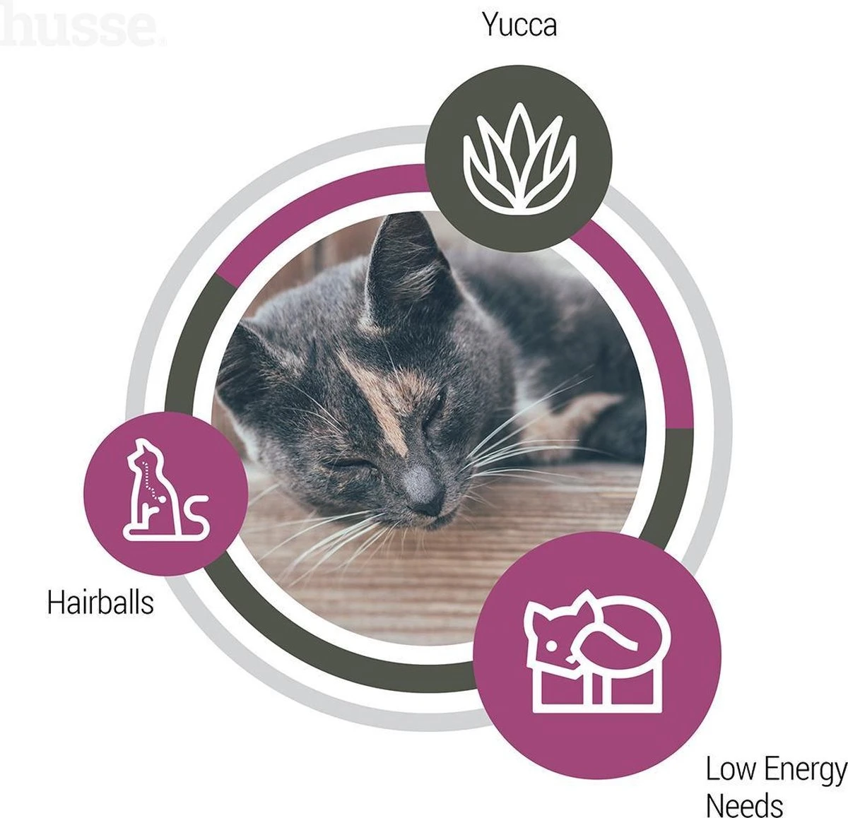 Husse Exclusive Katt Sterilised - Kattenvoer -7 Kg 6 Husse Exclusive Katt Sterilised - Kattenvoer -7 Kg - Afbeelding 6