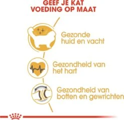 Royal Canin Ragdoll Adult - Kattenvoer - 10 Kg -Huisdierbenodigdheden 1200x1159 30