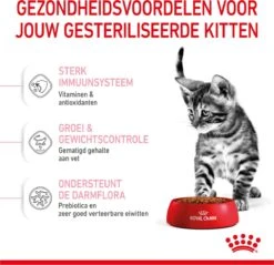 Royal Canin Kitten Sterilised - Kattenvoer - 3,5 Kg -Huisdierbenodigdheden 1200x1159 32