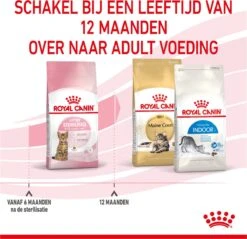 Royal Canin Kitten Sterilised - Kattenvoer - 3,5 Kg -Huisdierbenodigdheden 1200x1159 37