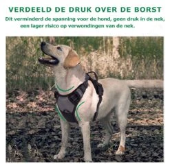 Mister Mill Hondentuigje 2x Klikgesp Maat M Grijs - Anti-Trek Tuig Hondenharnas - Y Tuig Hond Reflecterend -Huisdierbenodigdheden 1200x1160 14